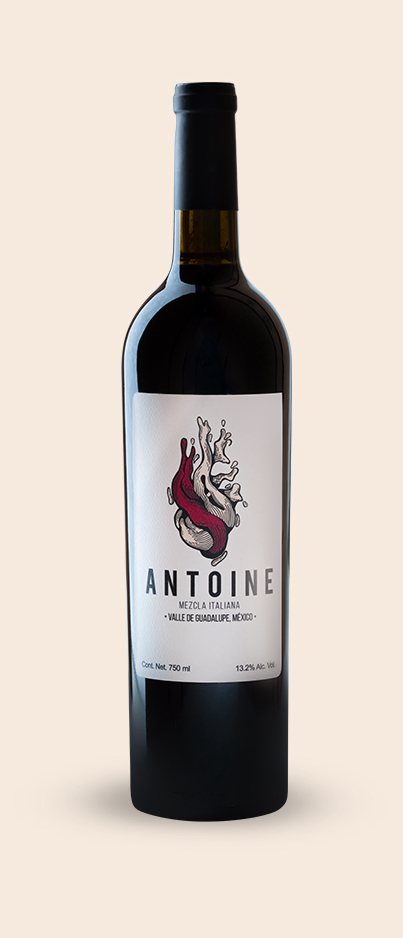 antoine vino