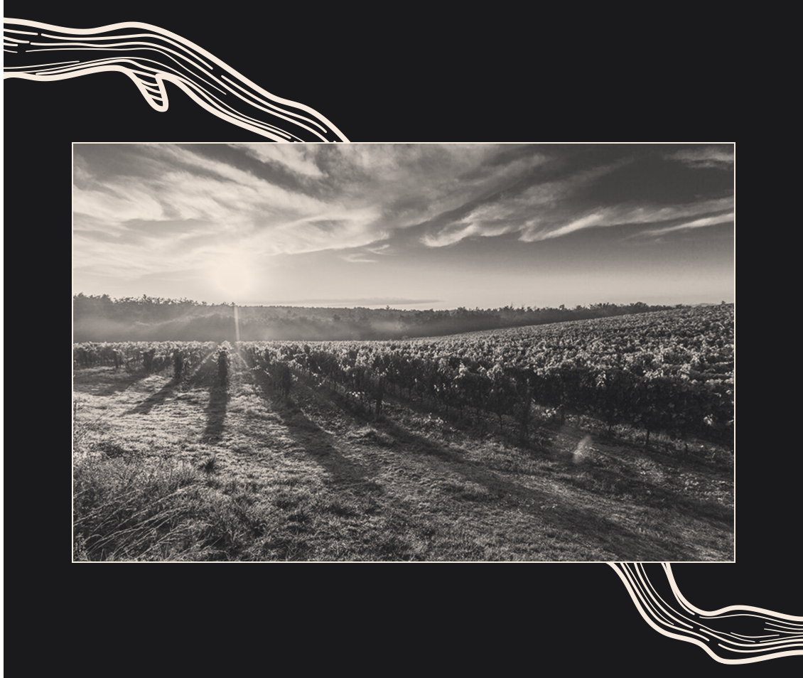 mobile fields