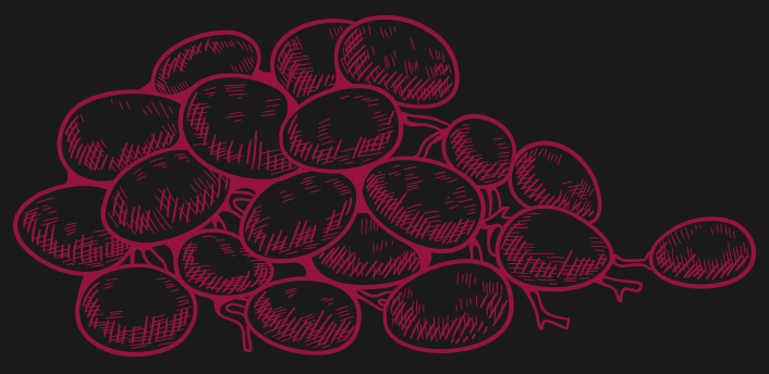 nebbiolo